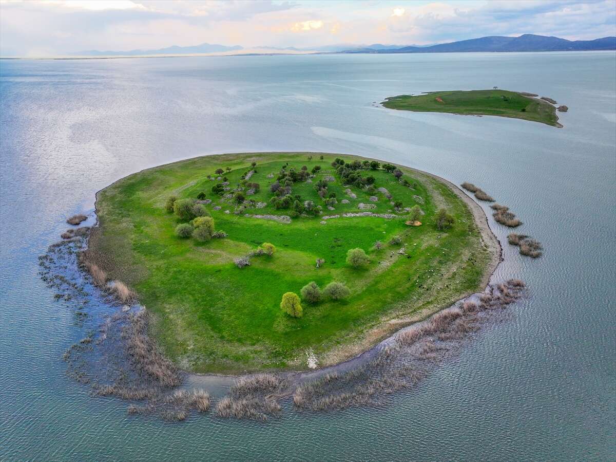 Konya’da bu sürü, adada tek başına yaşıyor 8